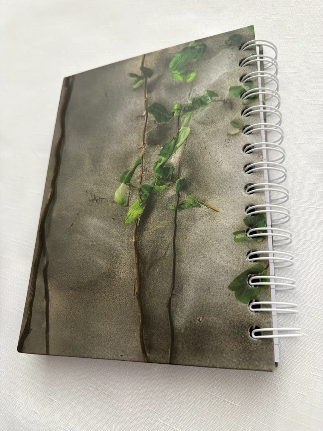 Faith Can Move Mountains Spiral Notebook - photo 4