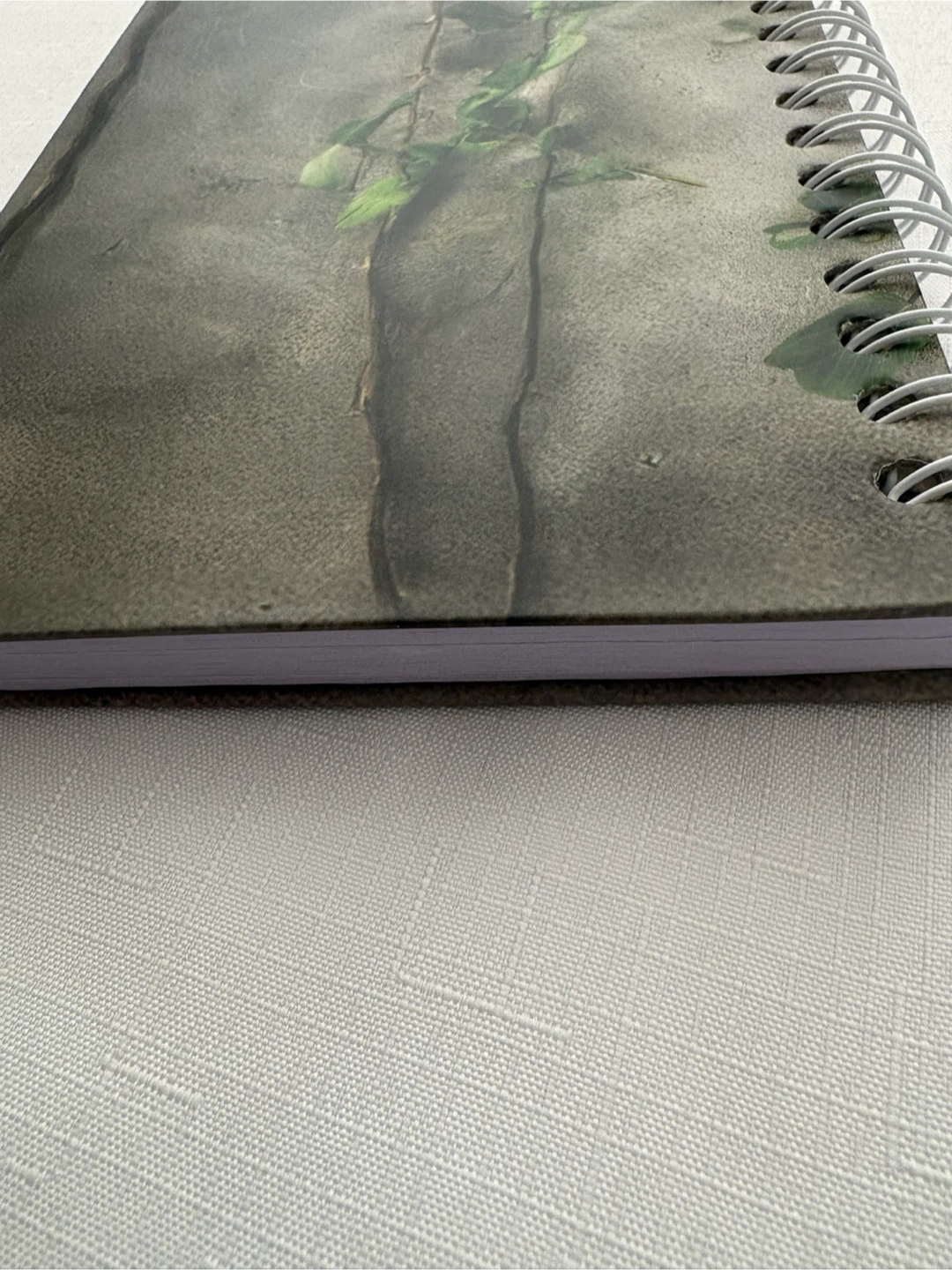 Faith Can Move Mountains Spiral Notebook - photo 5