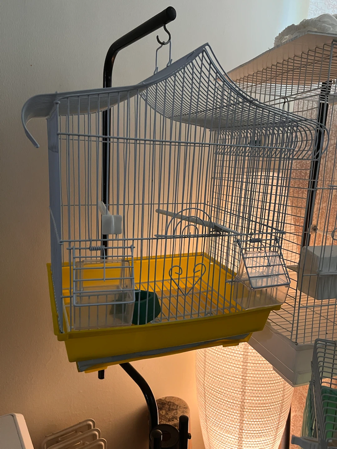 Bird Cage & canary for sale