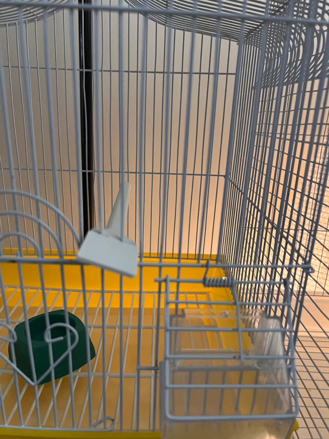 Bird Cage & canary for sale - photo 2