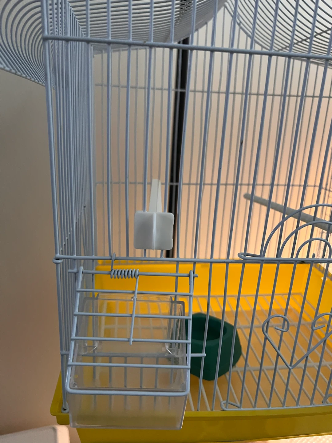 Bird Cage & canary for sale - photo 3