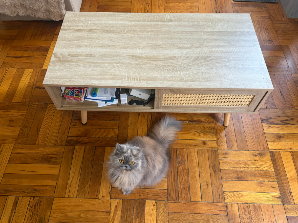 Wood Coffee Table with Cane Door - photo 2