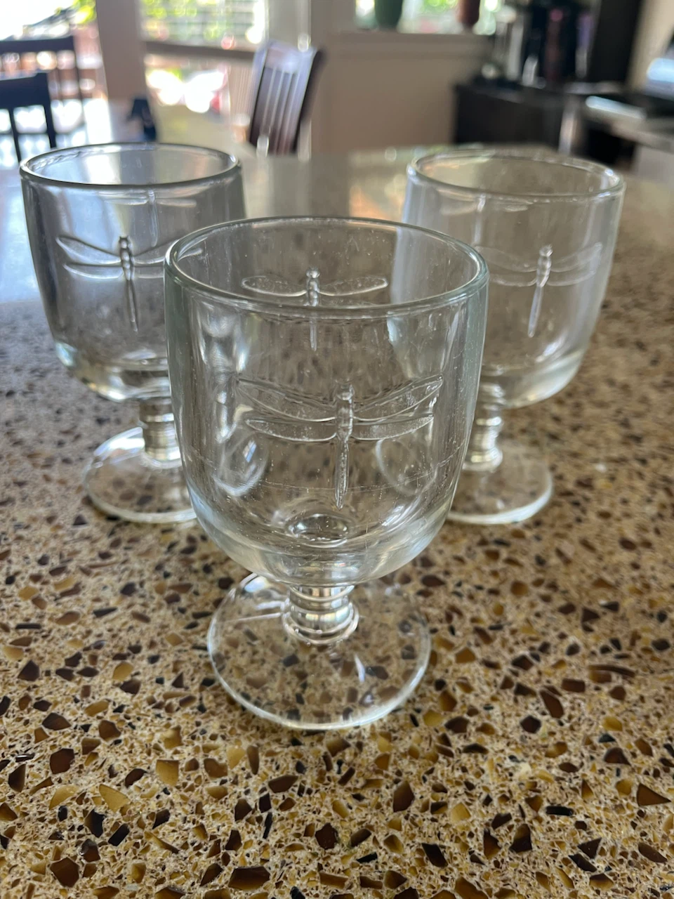 Set of 3 La Rochere Dragonfly Goblets