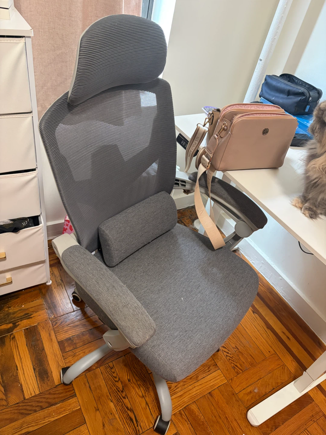 Ergonomic Office Chair with Footrest