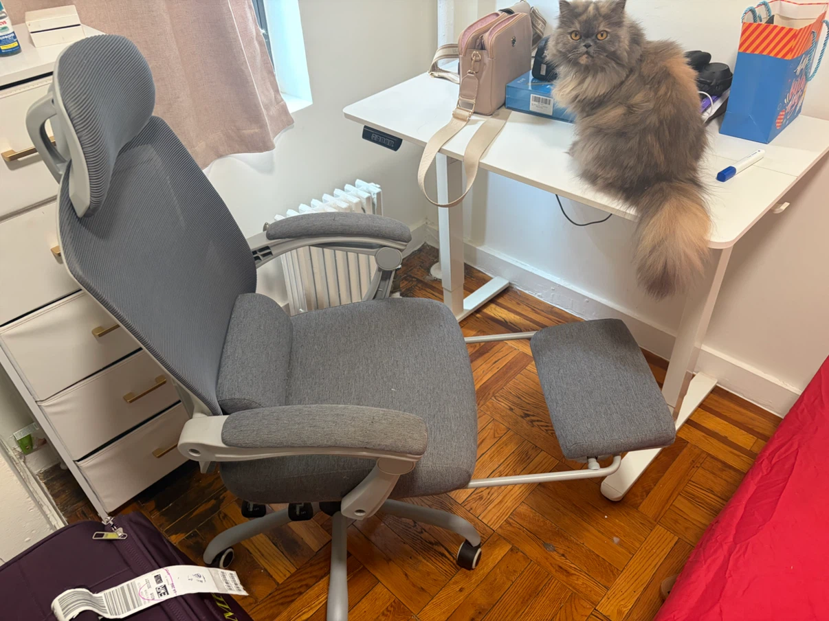 Ergonomic Office Chair with Footrest - photo 2