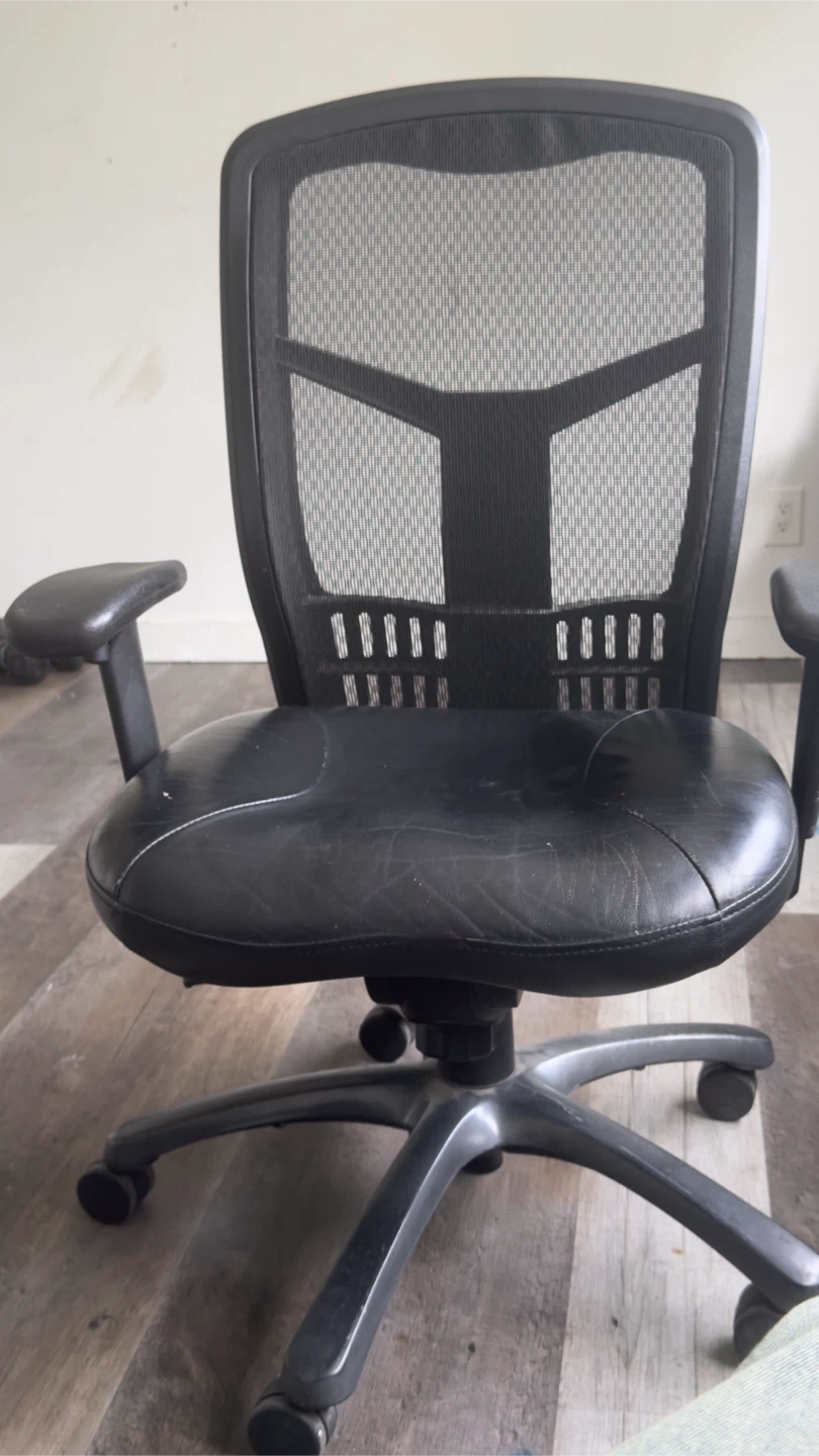 Black Mesh Office Chair with Padded Seat