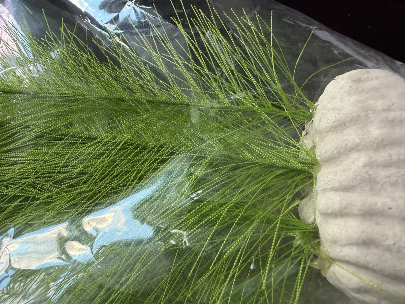 Aquarium Artificial Plant Decor 40CM Green - photo 2