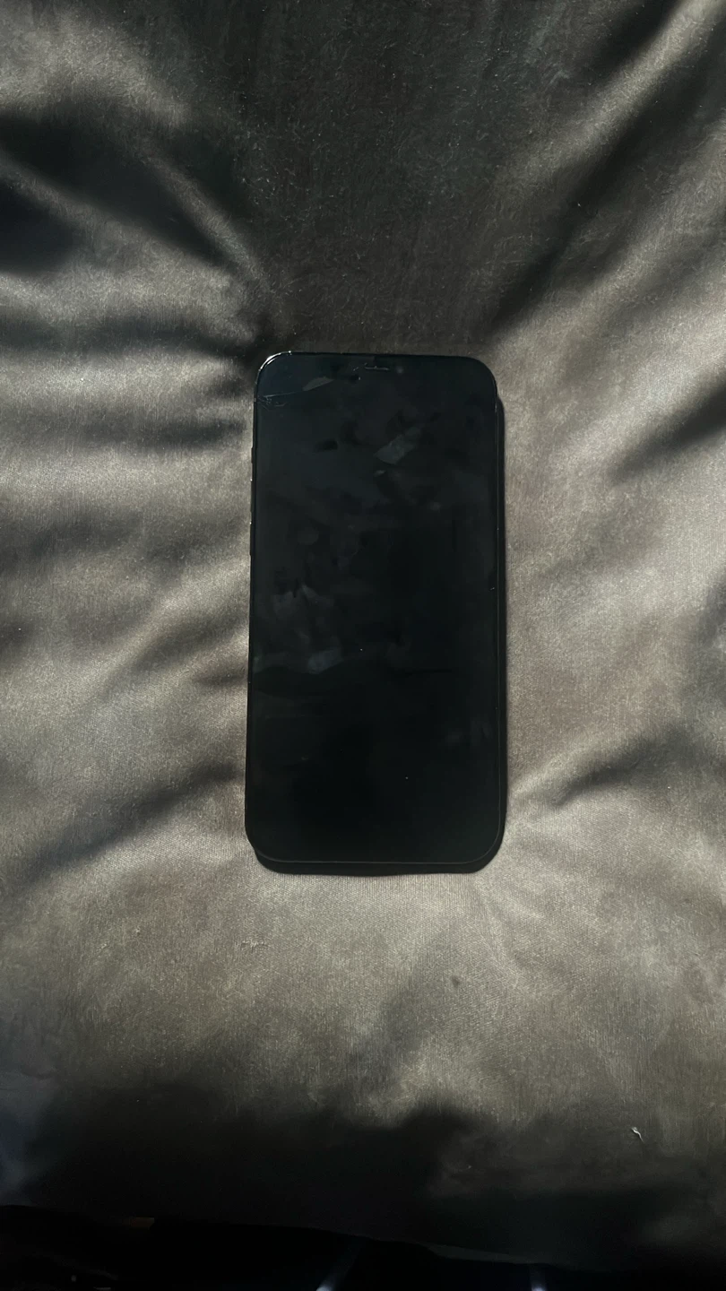 Apple iPhone 12 Pro Max