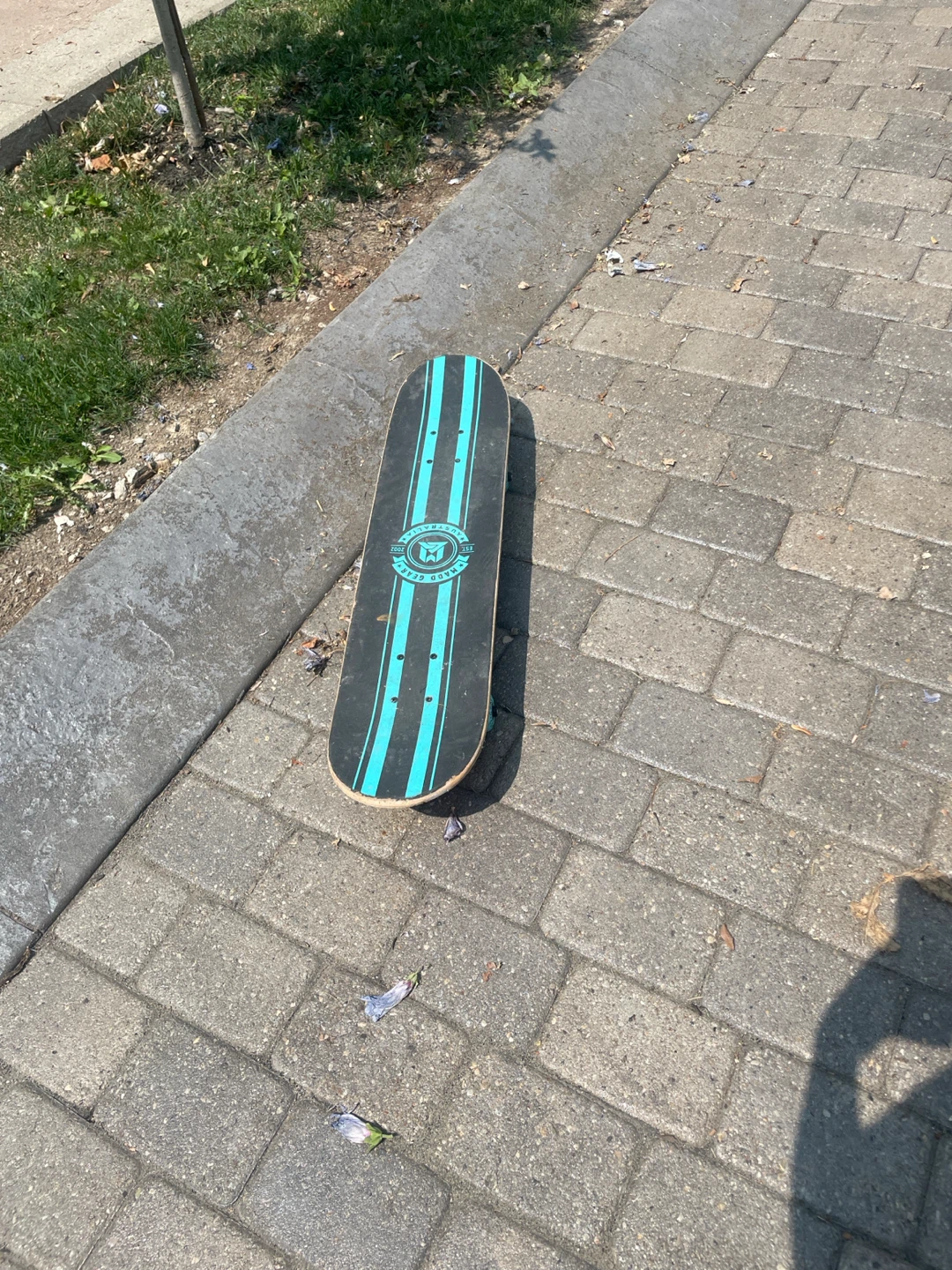 Skateboard