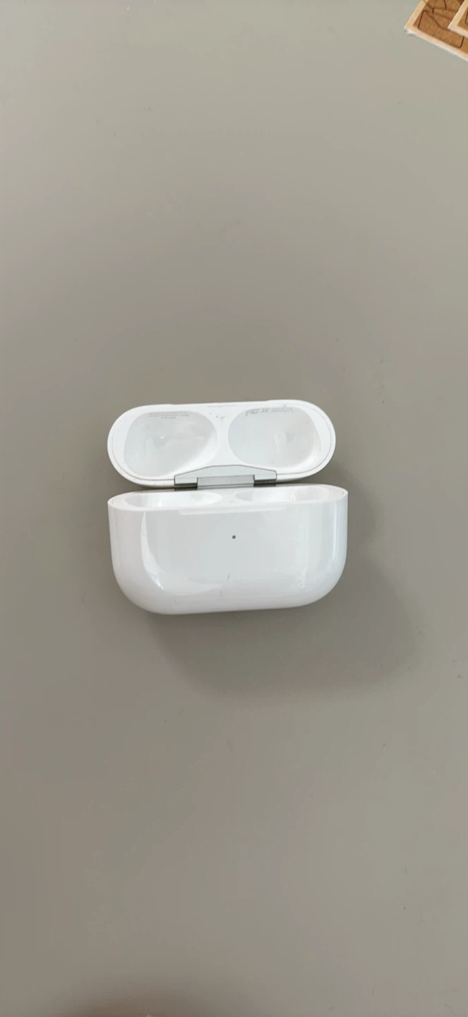 Apple AirPods Pro Charging Case