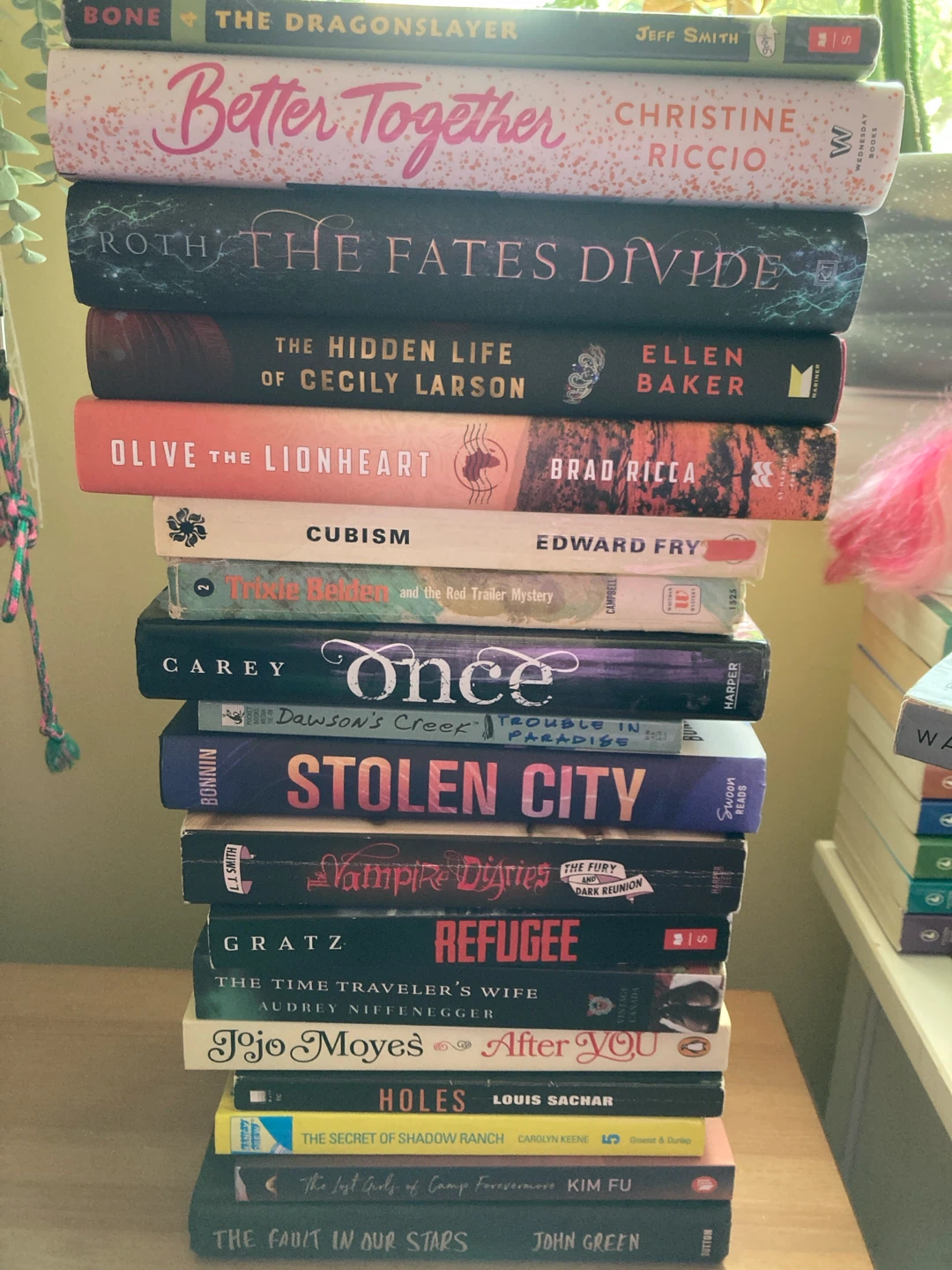 Stack of Young Adult & Fiction Books