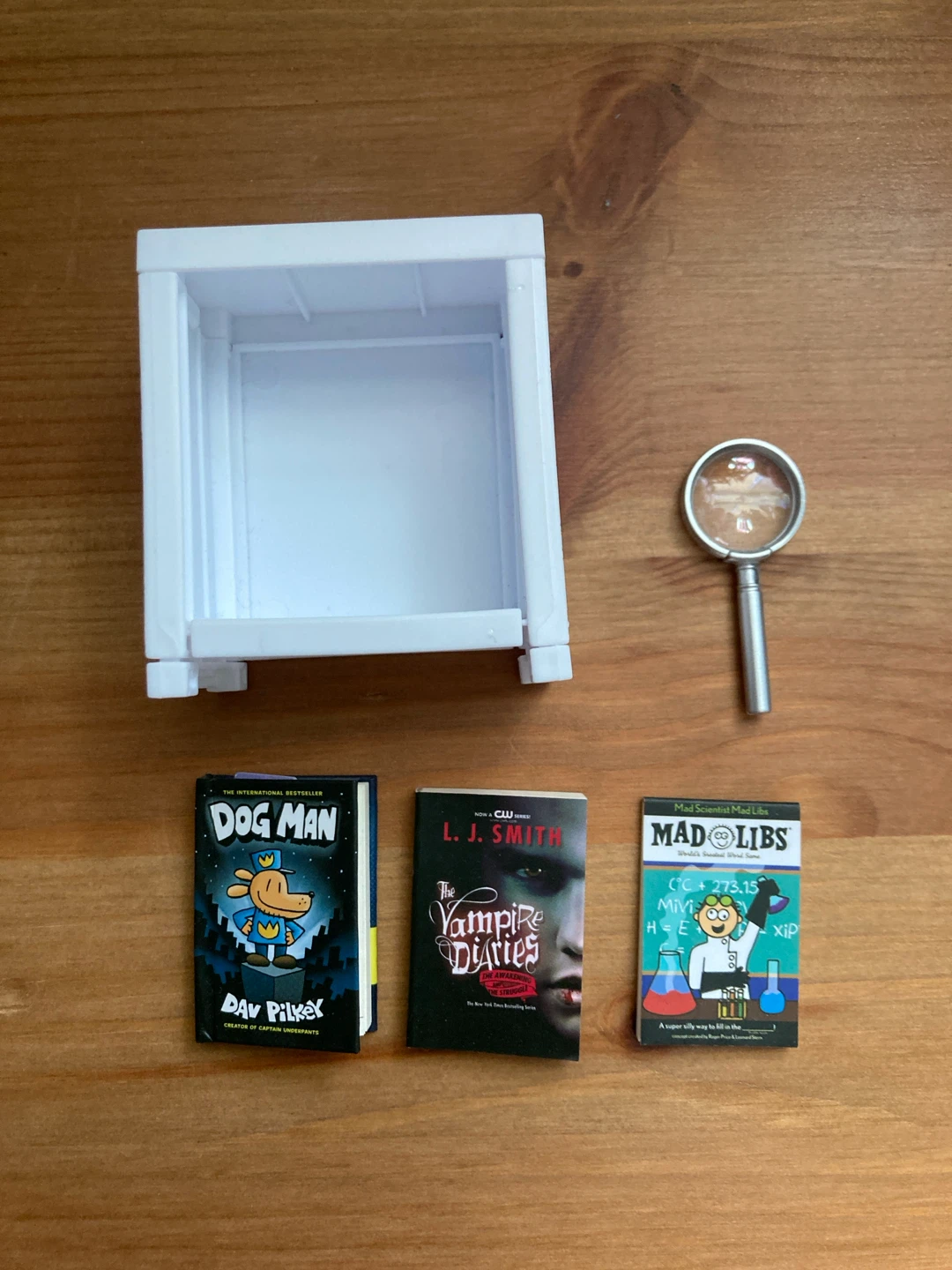 Mini Brands Books