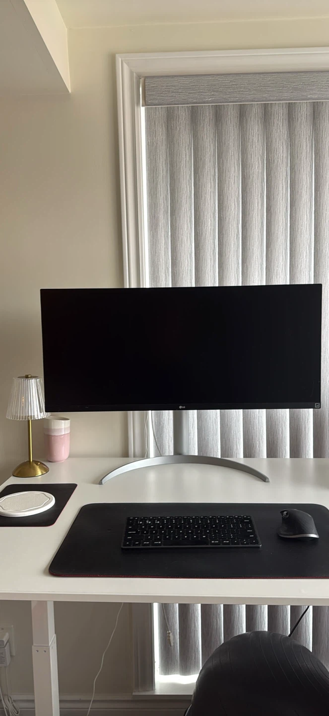 LG 27” UltraWide Monitor