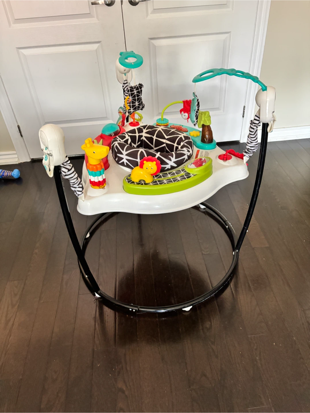 Baby Einstein Activity Jumper