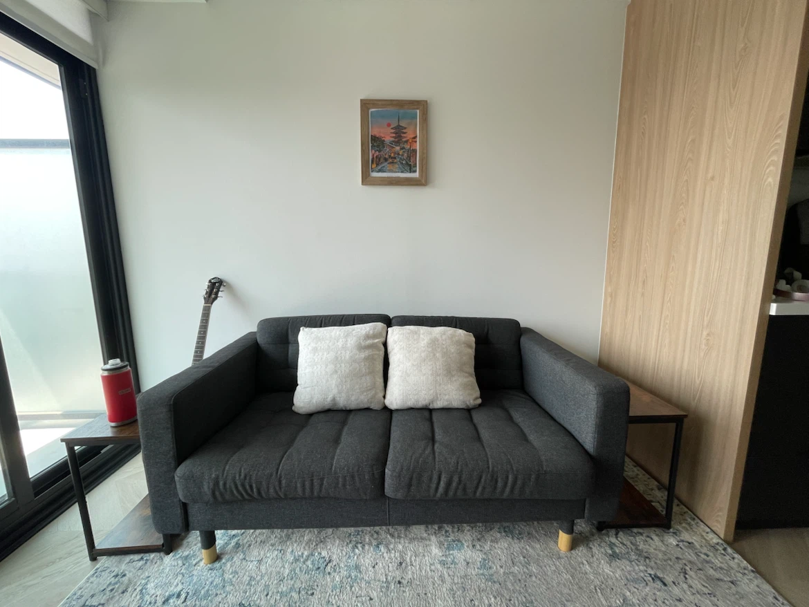 Dark Grey 2-Seater Sofa with Cushions