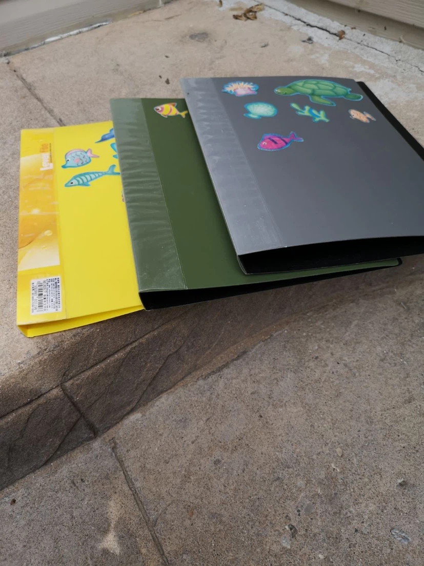 Presentation Folders with Marine Life Graphics