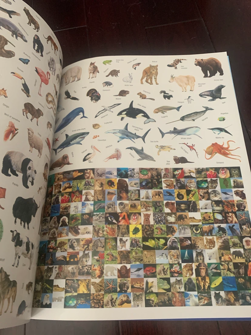 Atlas of Dinosaurs & Animals Book - map & stickers included - photo 3