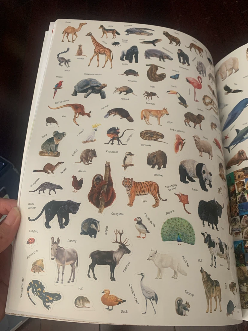 Atlas of Dinosaurs & Animals Book - map & stickers included - photo 4