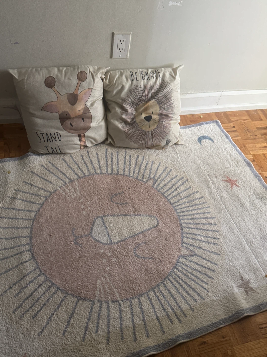 Cute Kids Throw Pillows and Rug Set