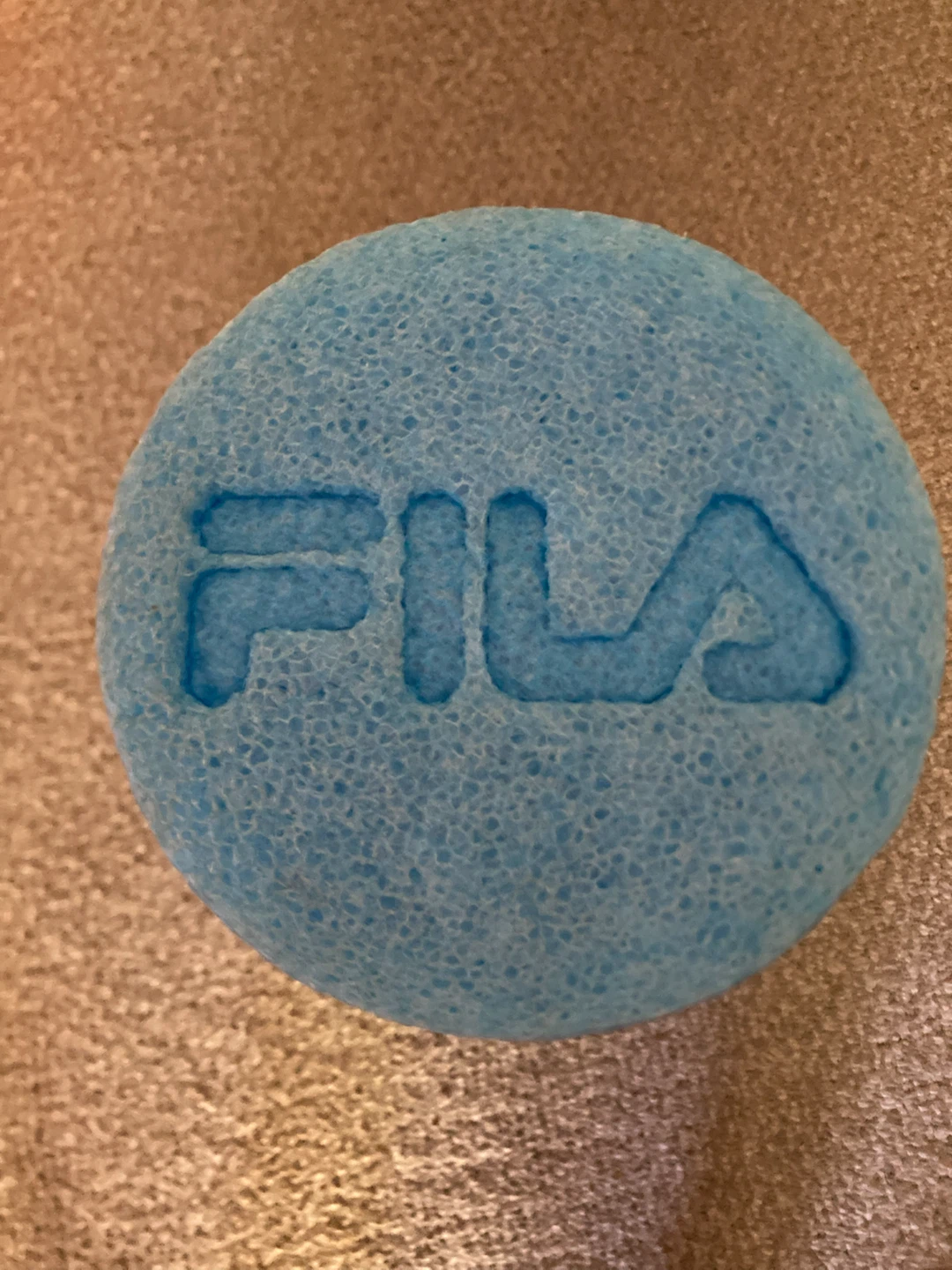 MOVING SALE Fila Blue Foam Roller