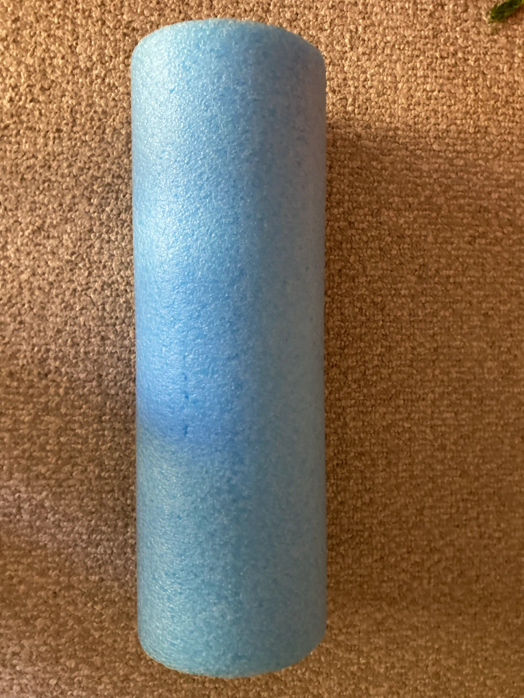 MOVING SALE Fila Blue Foam Roller - photo 2