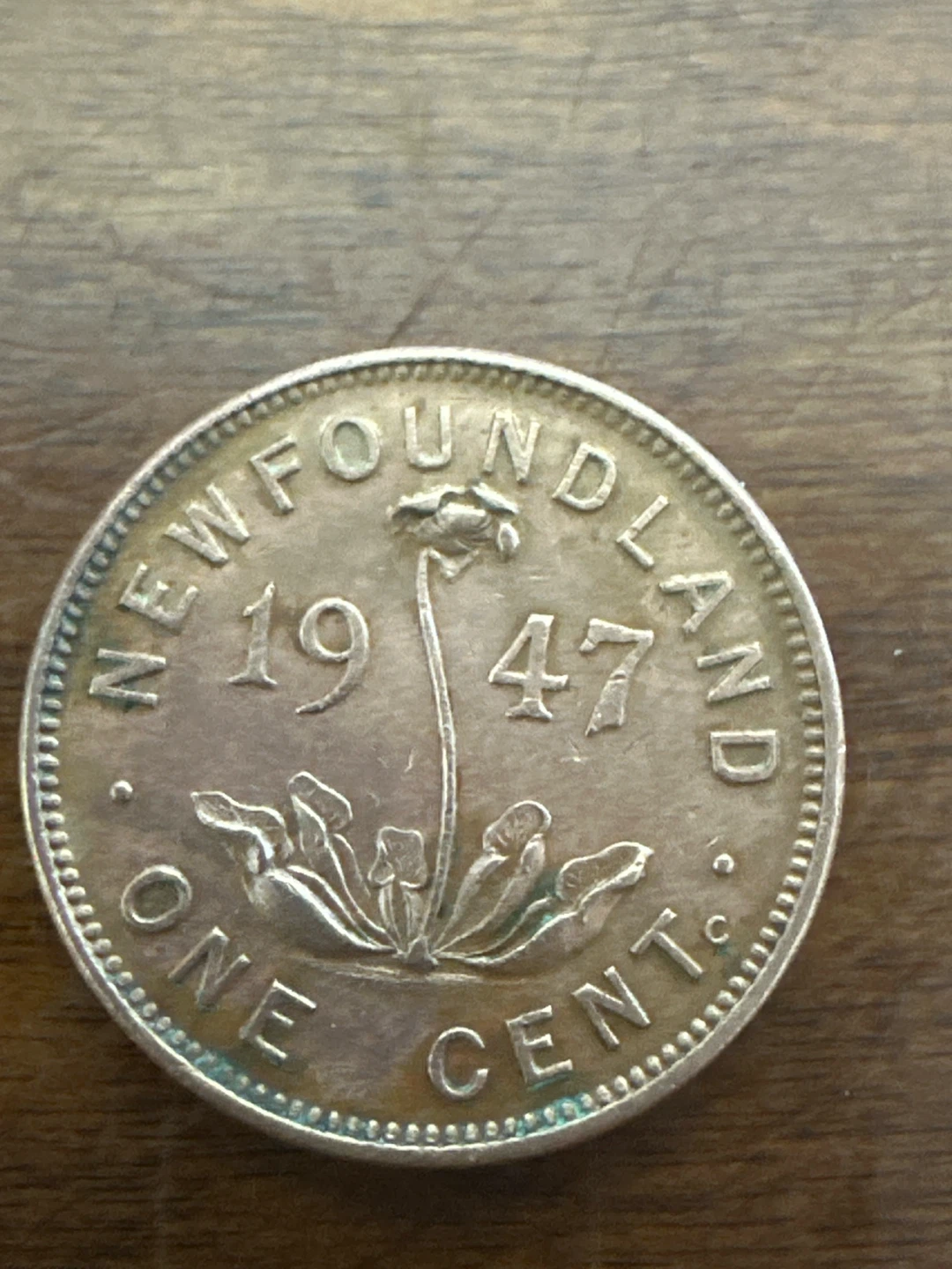Newfoundland 1947 One Cent Coin - photo 3