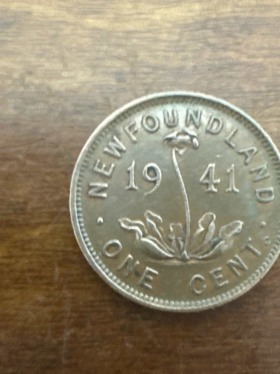 1941 Newfoundland One Cent Coin