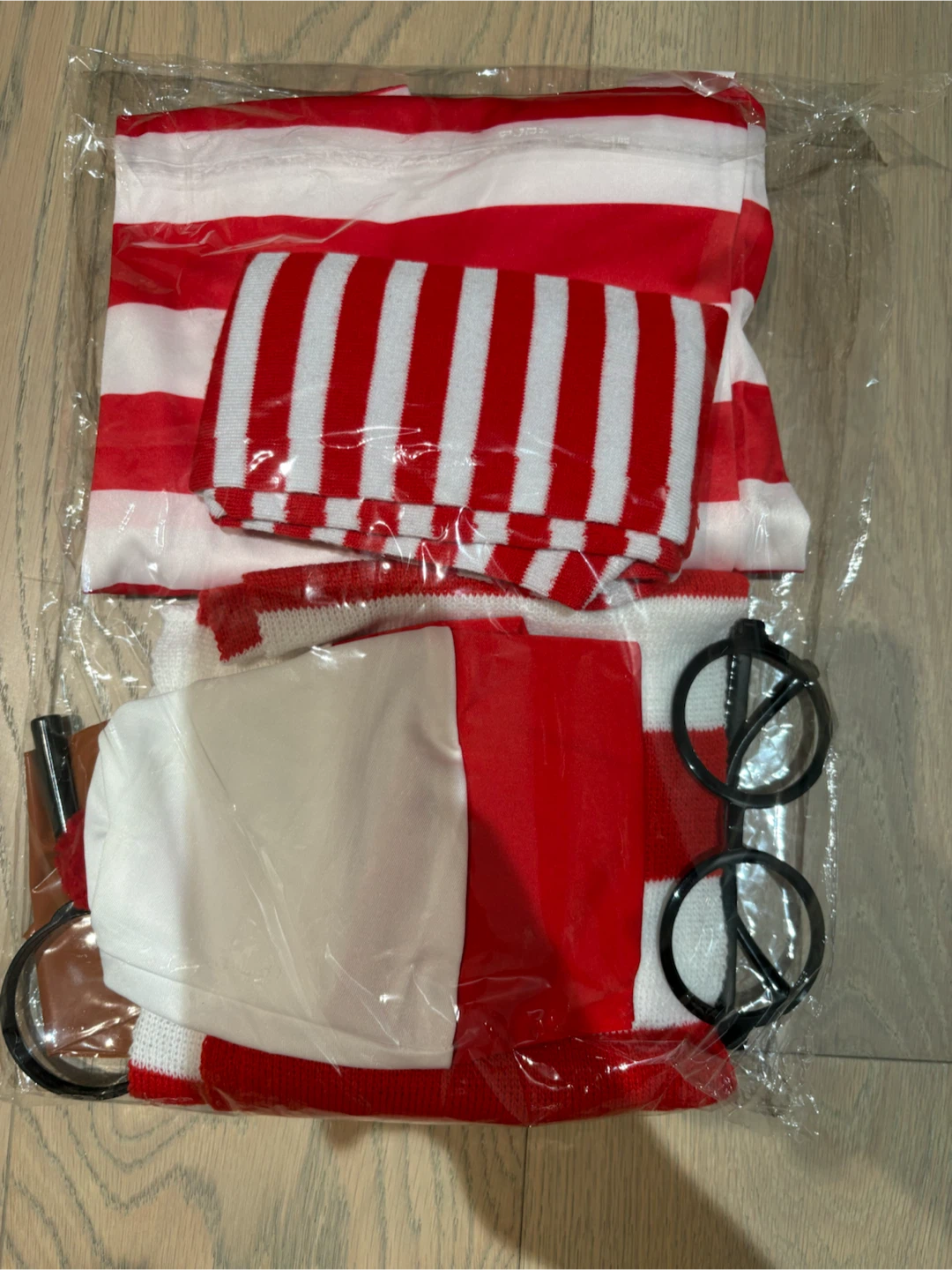 Halloween Where's Waldo Costume Set - Large