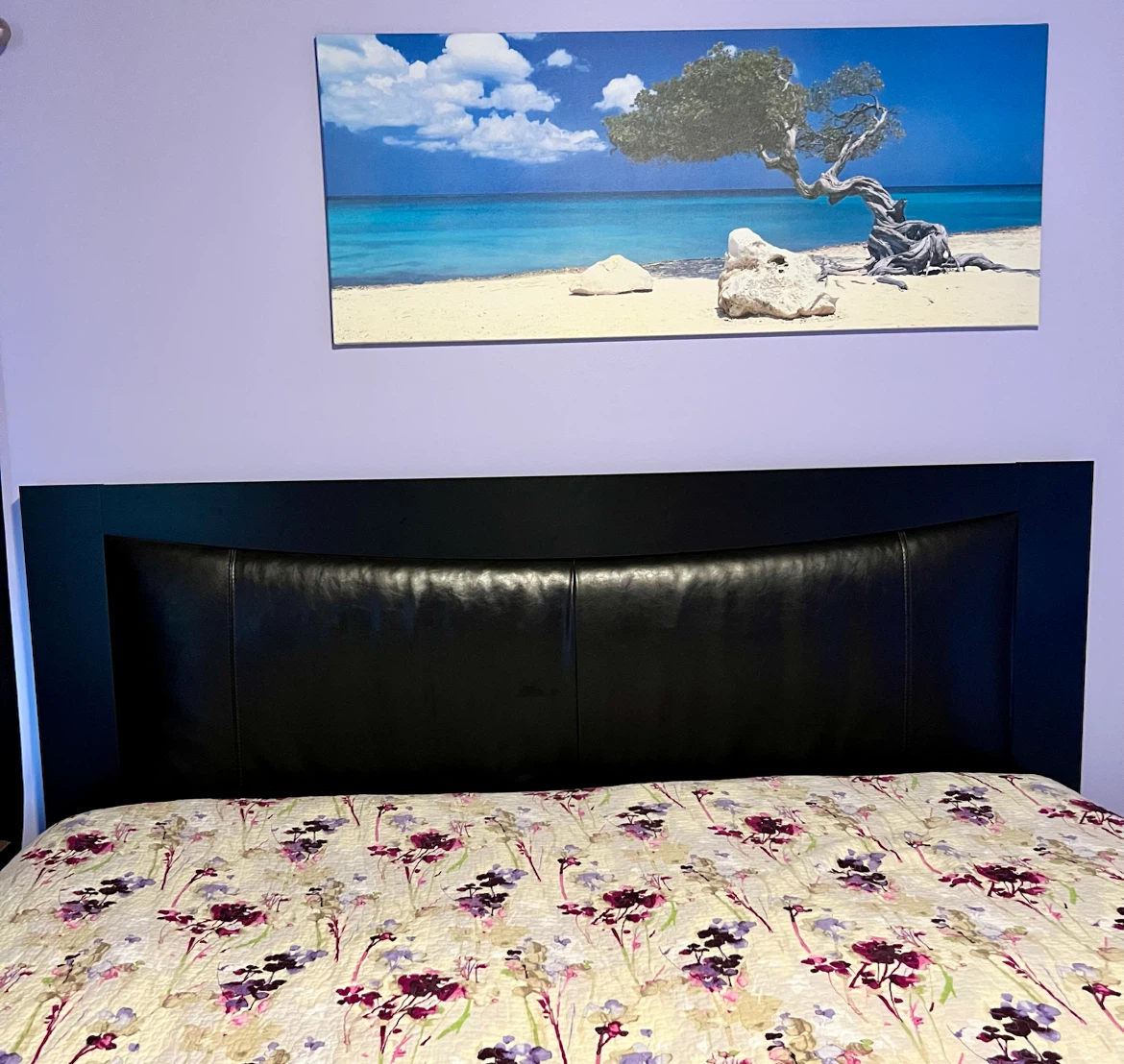 King Headboard and Frame