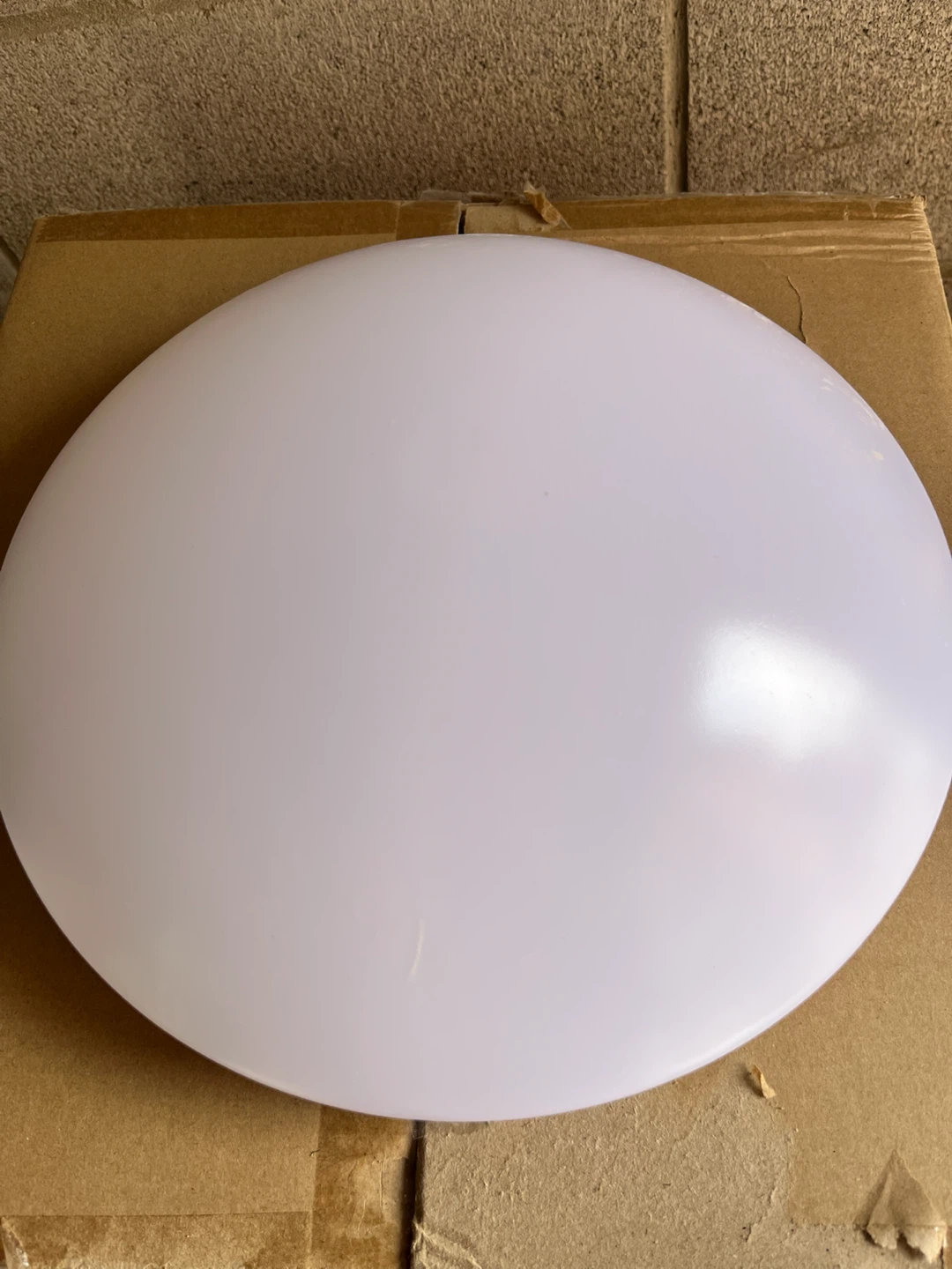 Commercial Electric Flush Mount Light