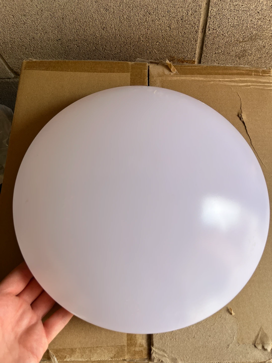 Commercial Electric Flush Mount Light - photo 4