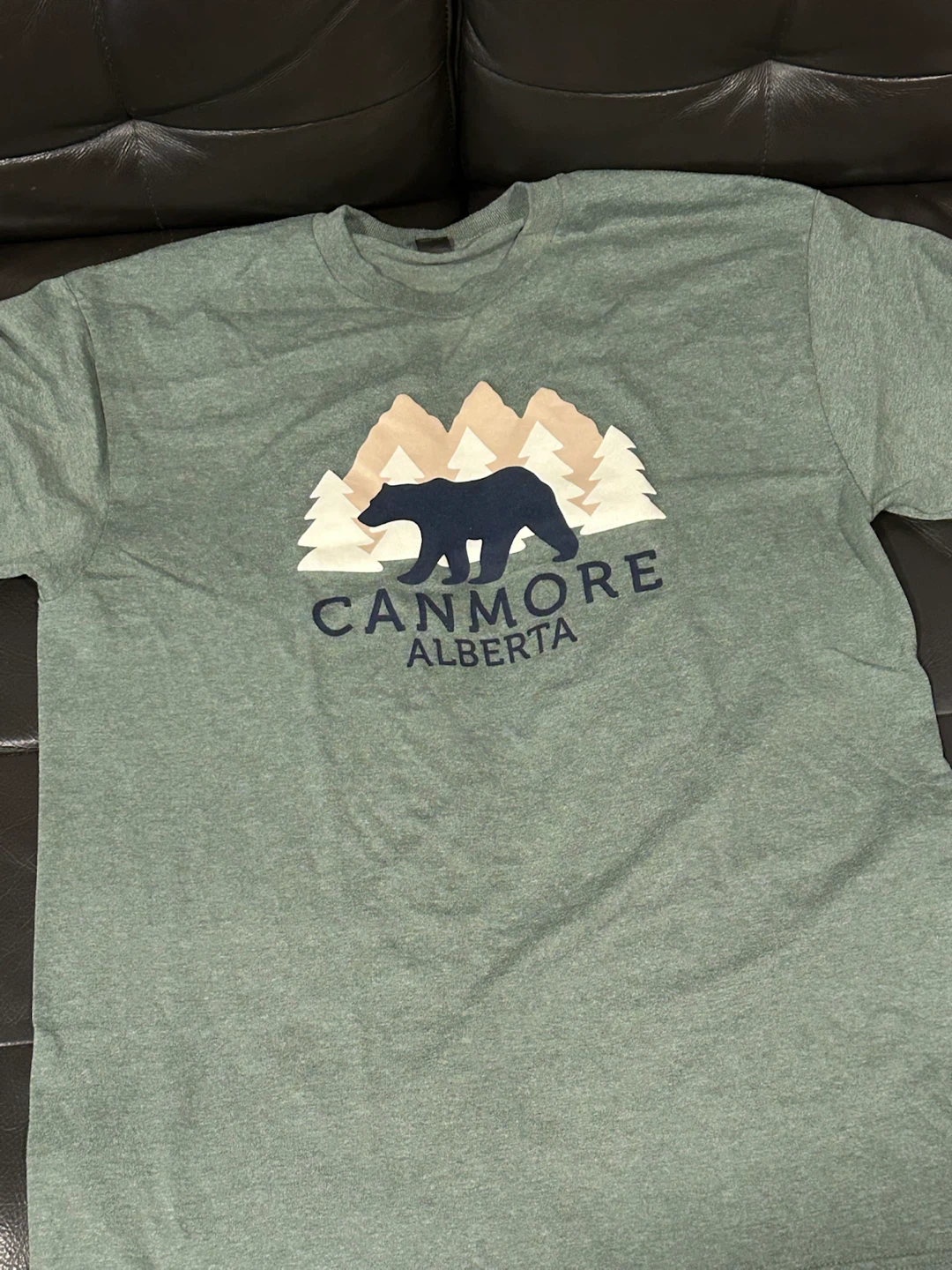 T-shirt lot - men’s small - photo 3