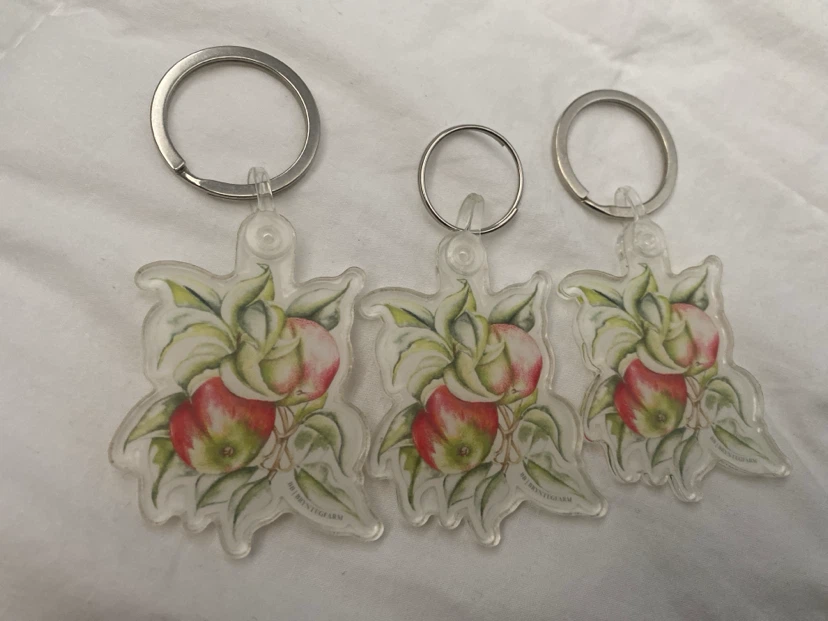 Set of 3 Keychains