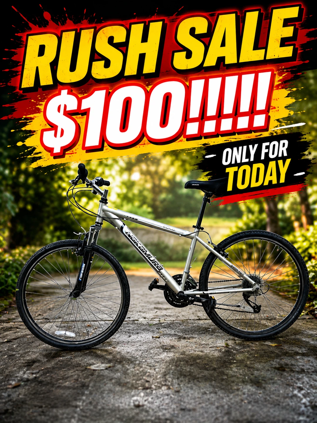 $100 BIKE RUSH SALE!!!!!