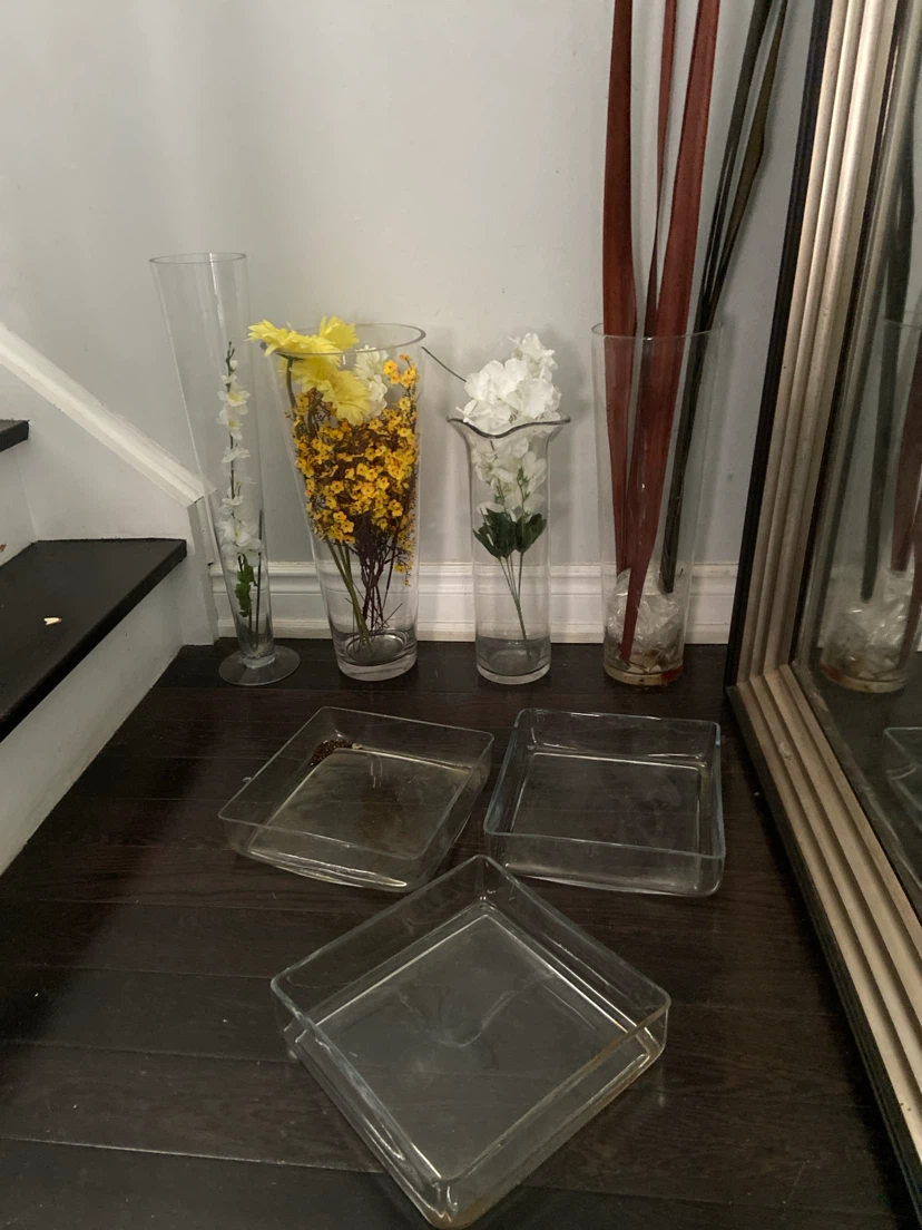 Set of 3 Clear Glass Vases and 3 Square Glass Trays