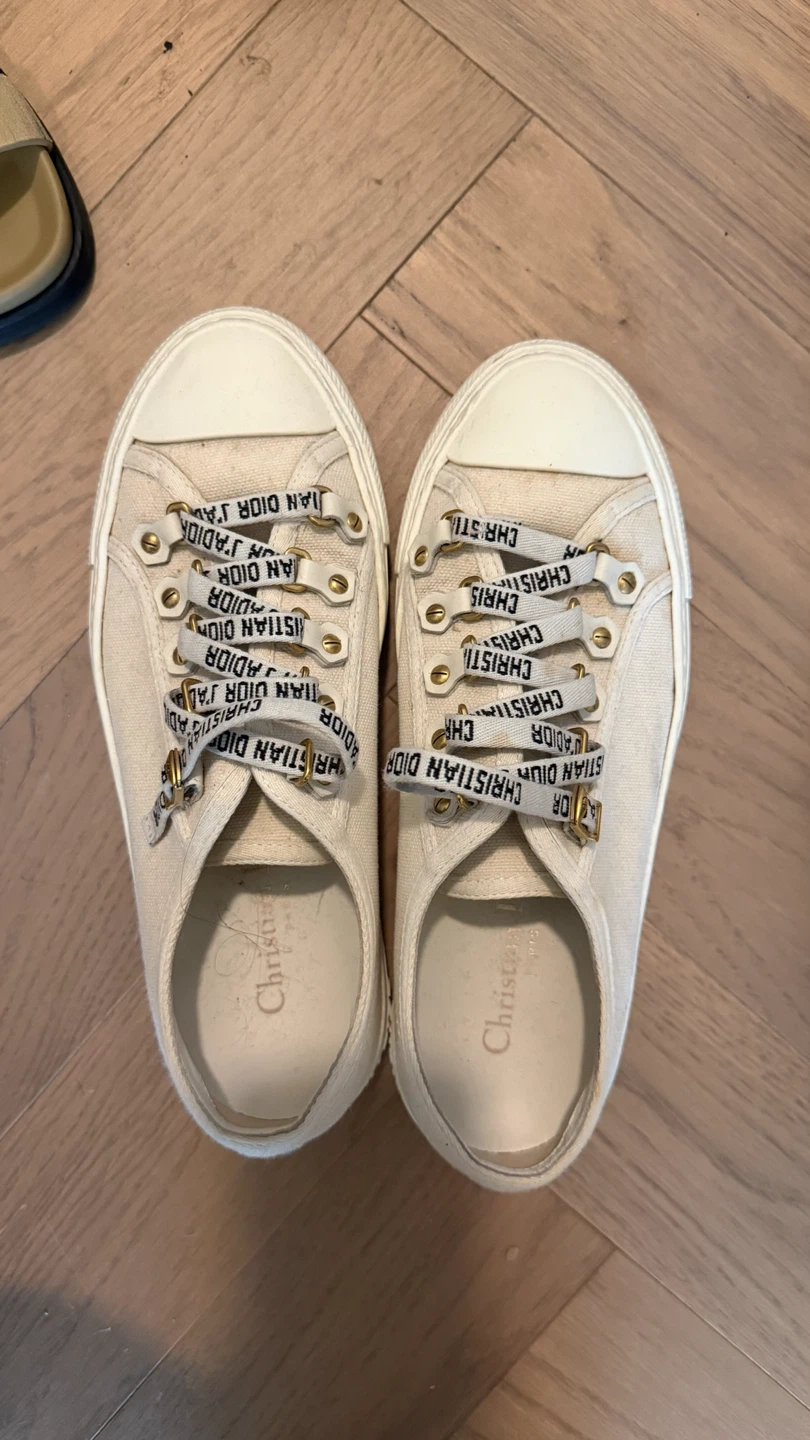 Dior Walk'n'Dior Low Top Sneakers