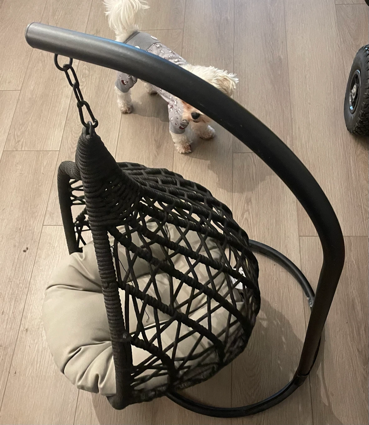 Suspended swing bed for dog or a cat - photo 2