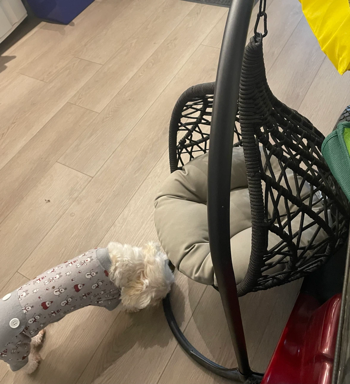 Suspended swing bed for dog or a cat - photo 3