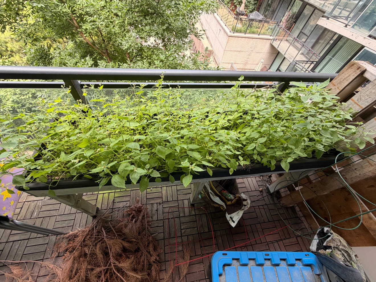 VegTrug Medium Raised Garden Bed - photo 4