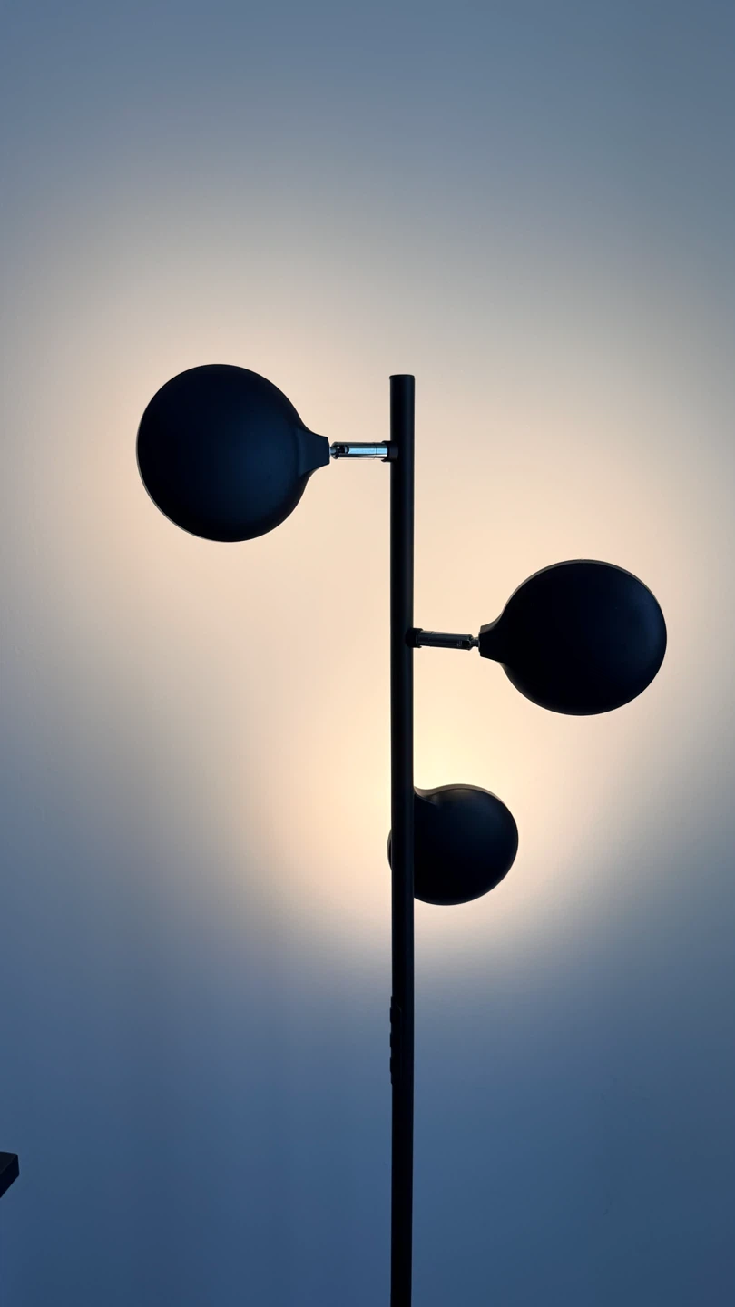 Black Modern Floor Lamp with Three Lights