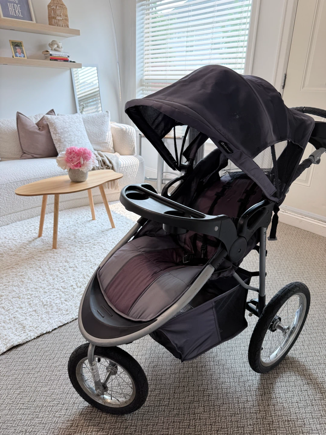 Baby Jogger Stroller
