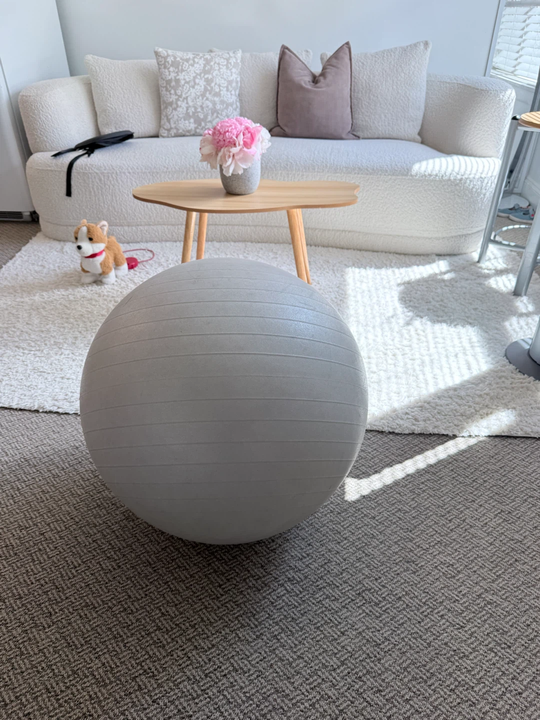 Grey Exercise Yoga Ball