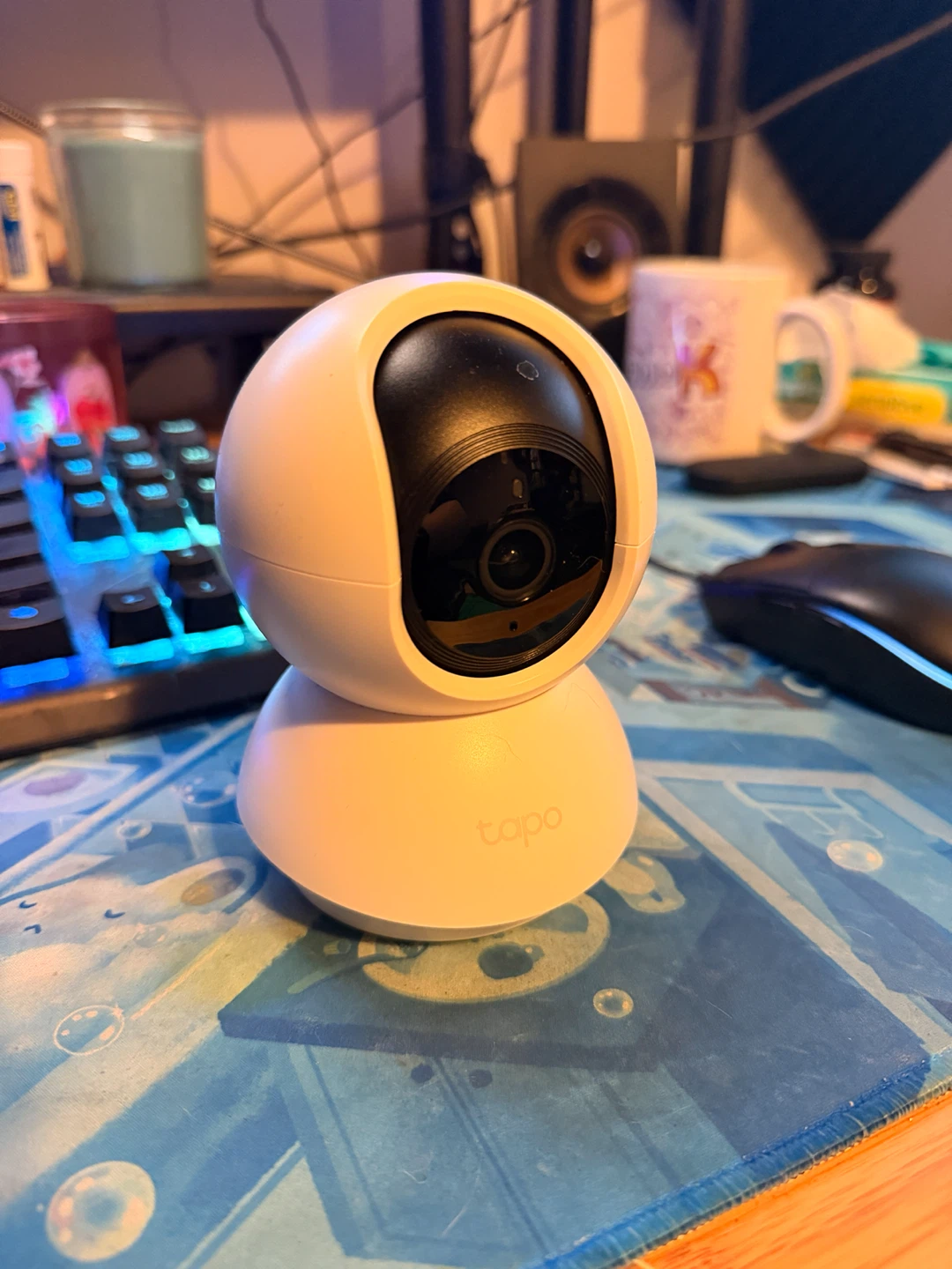 TP-LINK Indoor Security Camera (Cat Cam)