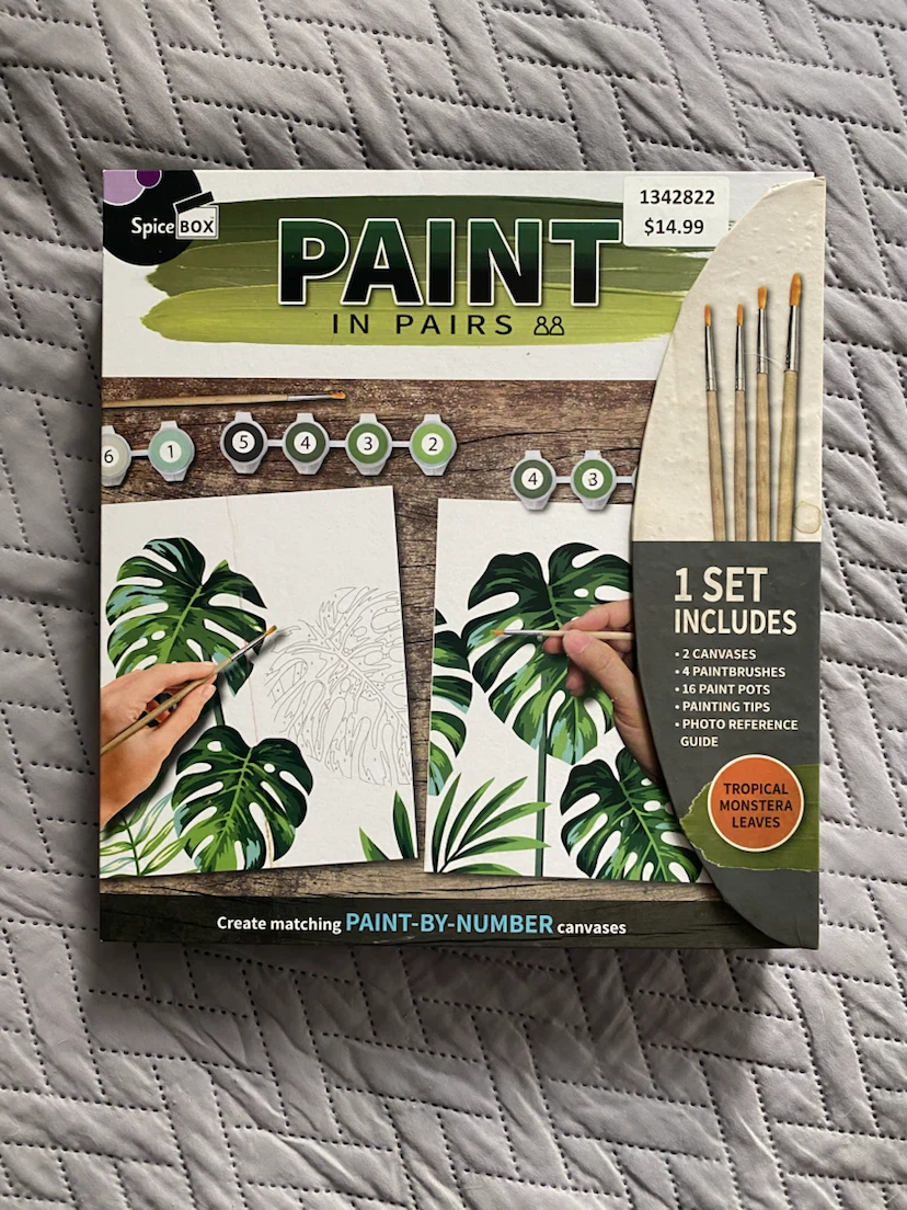 Paint by numbers - READ DESCRIPTION