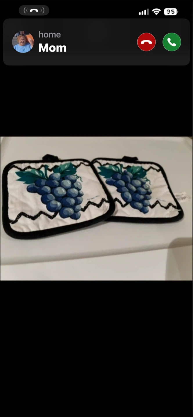 Set of 2 Grape Potholders