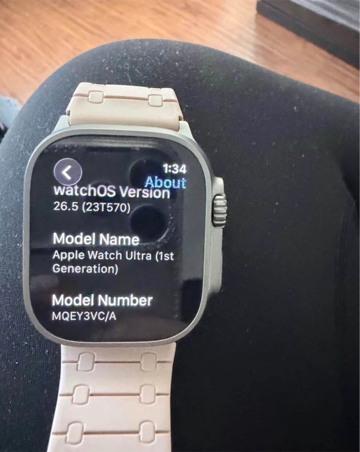 Apple Watch Ultra (1st Generation) - photo 3
