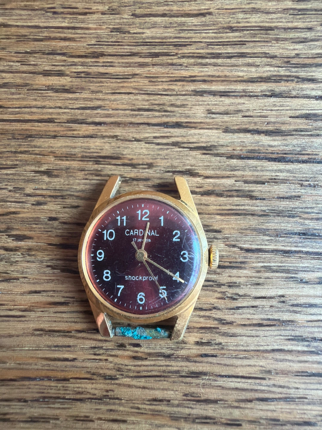 Cardinal Shockproof Wind-Up Watch