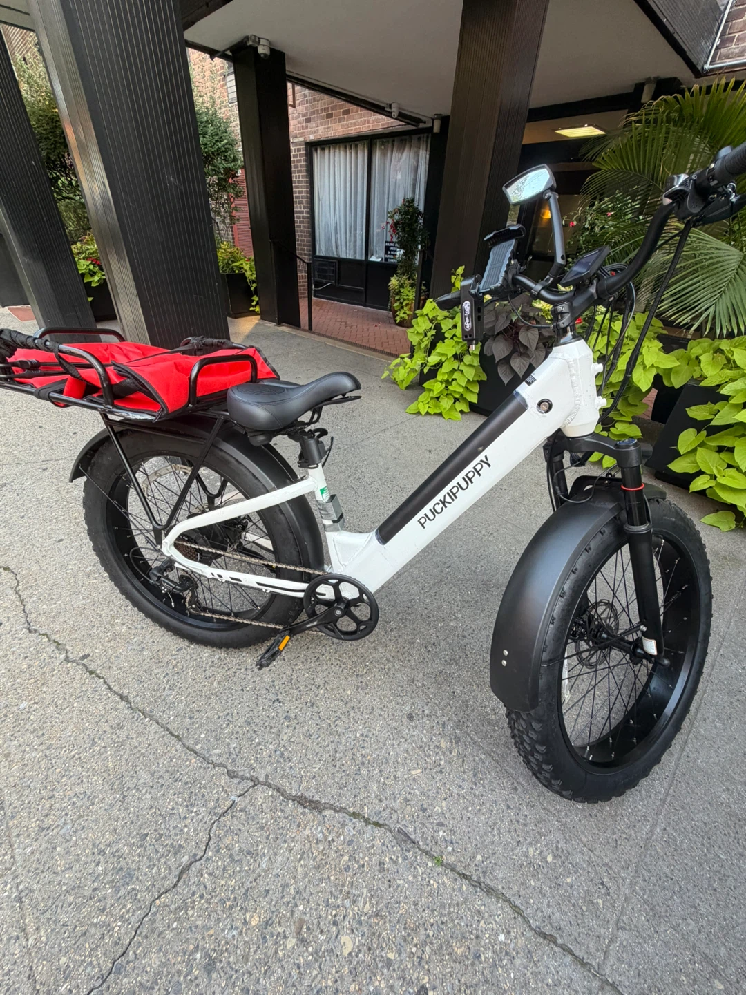 Puckipuppy Samoyed E-bike