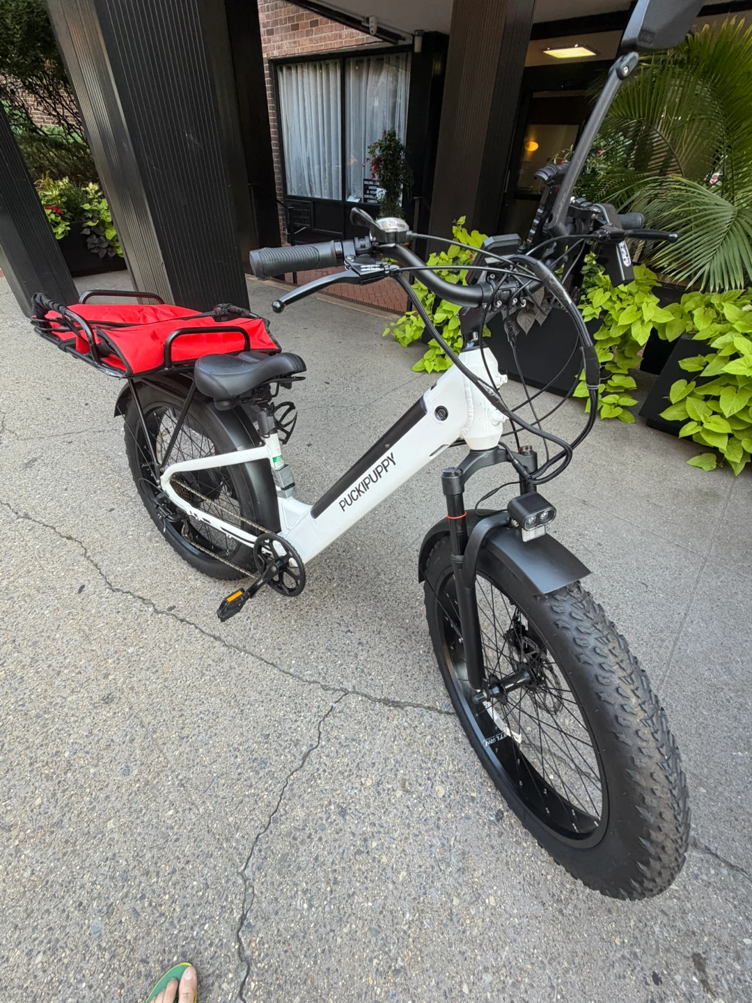 Puckipuppy Samoyed E-bike - photo 3