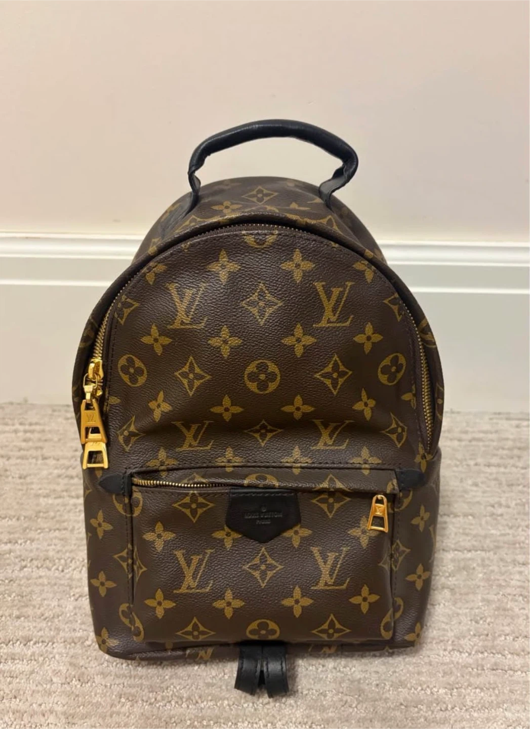 Louis Vuitton Palms Spring Mini Backpack
